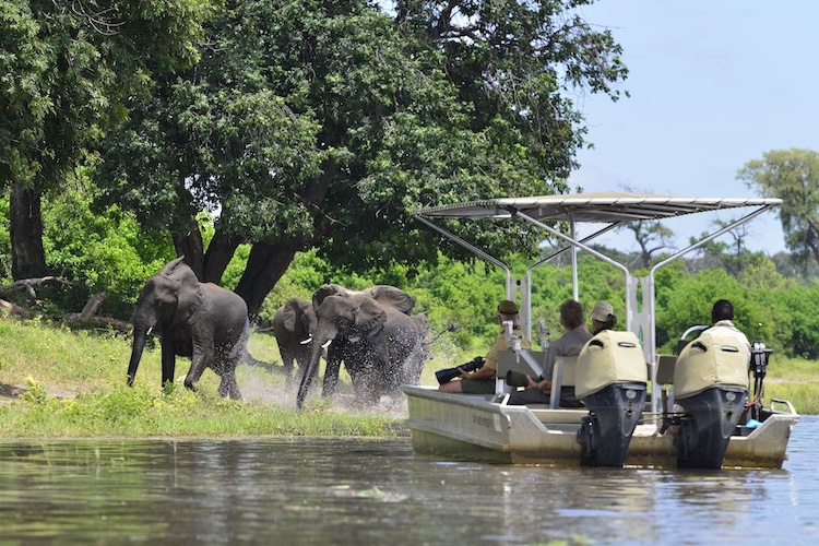 Boat Safari