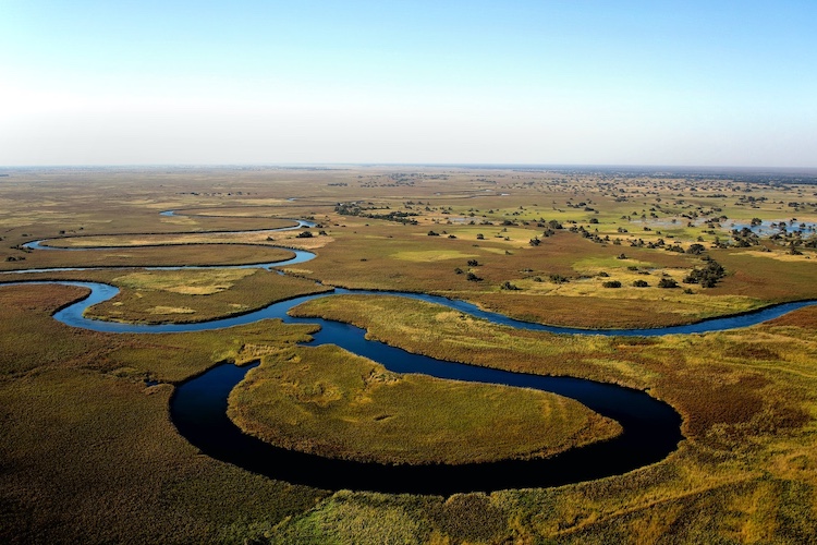 Mokoro Safari