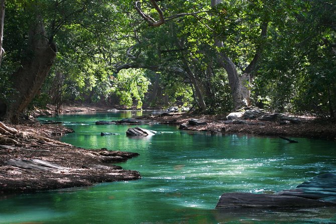 Black River Gorges Hiking
