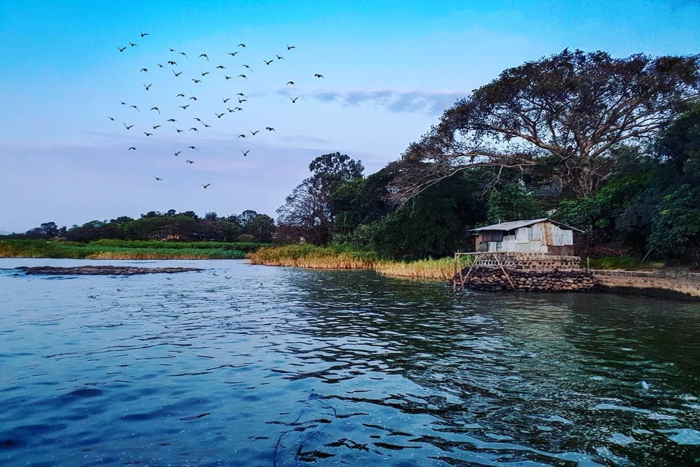 Lake Tana Monasteries