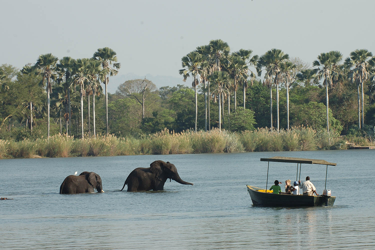 Liwonde Boat Safari
