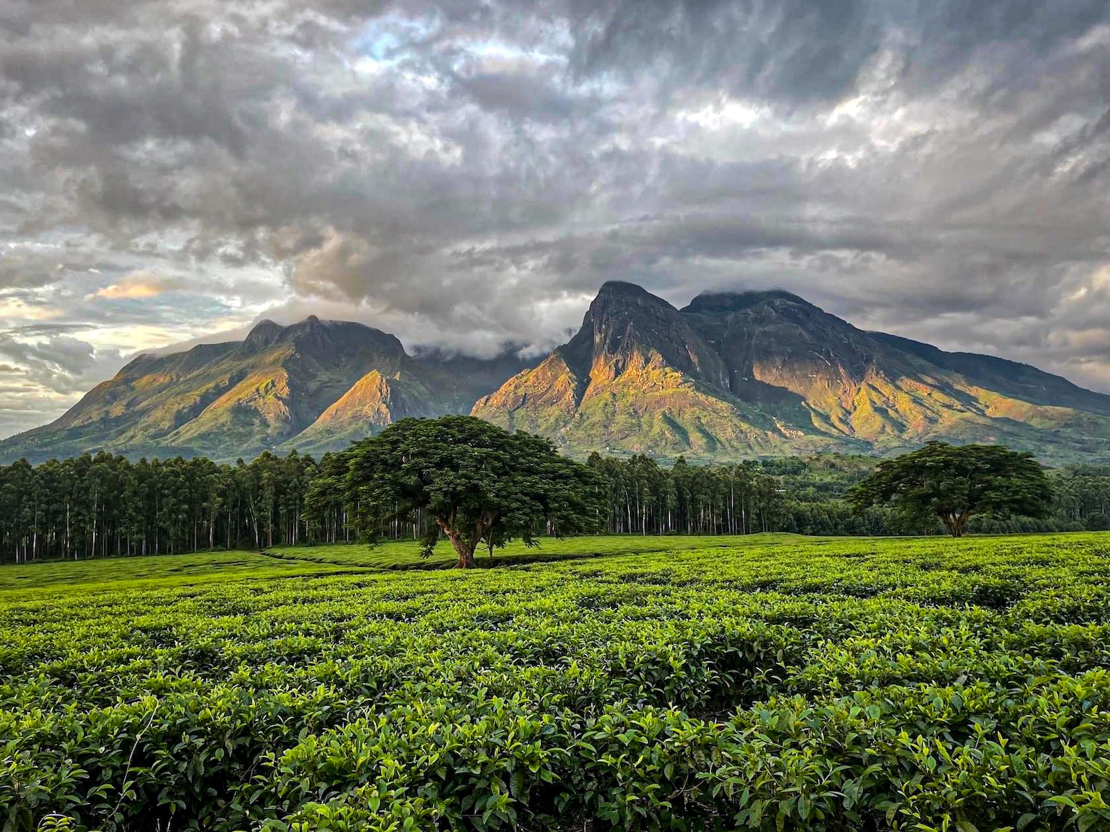 Mount Mulanje Trekking