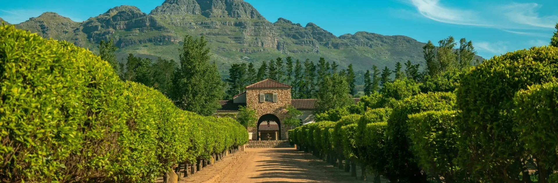 Cape Winelands Tasting